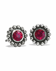 Sil/Garnet Twinkle Mini Post