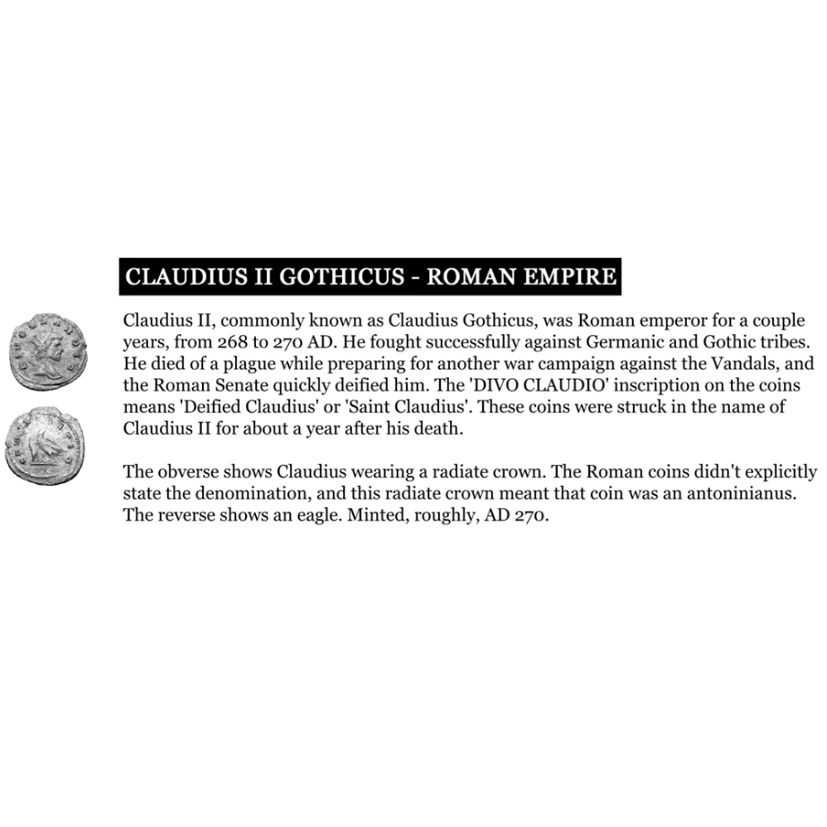 Gold Hestia Coin Earrings