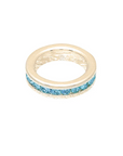 Birthstone Charm December Gold