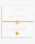 A Little Best Friend
