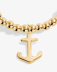 A Little Anchor