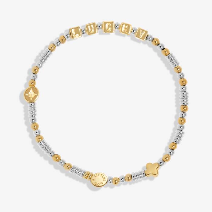 Happy Little Moments - Lucky