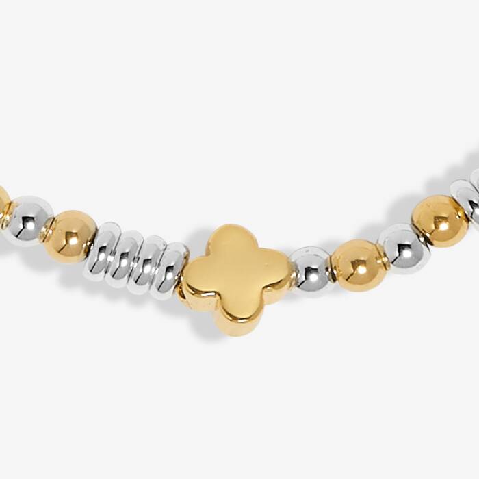 Happy Little Moments - Lucky