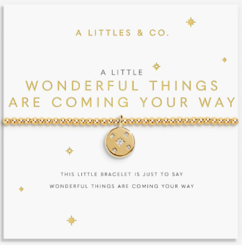 A Little Wonderful Things