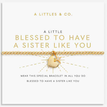 A Little Blessed To Have A Sister