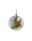 Serenity Medallion