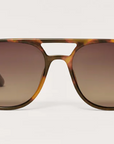 Tourist - Brown Tortoise