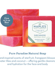 Natural Soap Bar - Pure Paradise