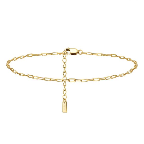 Paperclip Chain Anklet