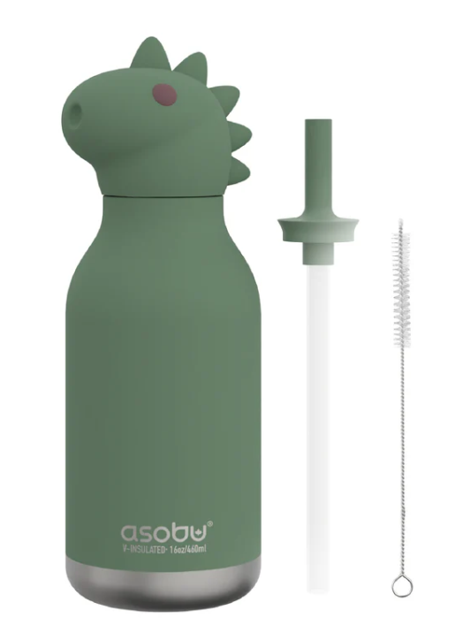 Dinosaur Bestie Bottle 16OZ