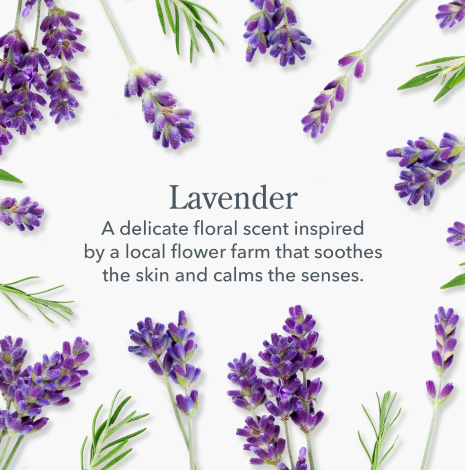 Lavender Goat Milk Lotion
