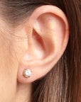 Desideri CZ Studs - Gold