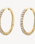 Desideri Earrings