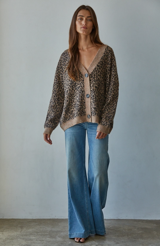 Cheetah V-Neck Knit Sweater