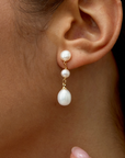 Gold Freshwater Pearl Drop Earrings