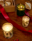 Frasier Fir Pine Votive Candle - 2oz