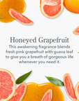 Honeyed Grapefruit Lotion - 12.5 fl oz