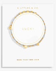 Happy Little Moments - Lucky