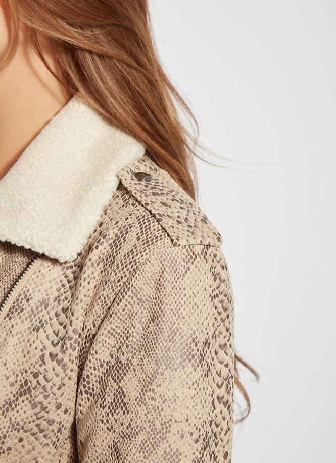 Rosalind Detachable Collar Jacket