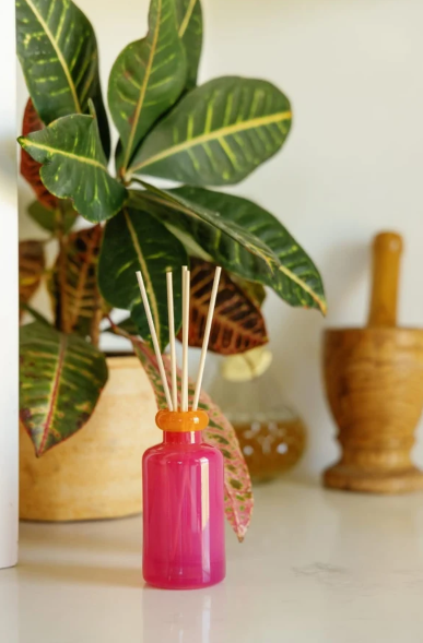 Infrared Mango Reed Diffuser
