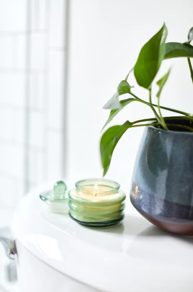 Misted Lime Beam 30Z Candle
