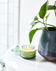 Misted Lime Beam 30Z Candle