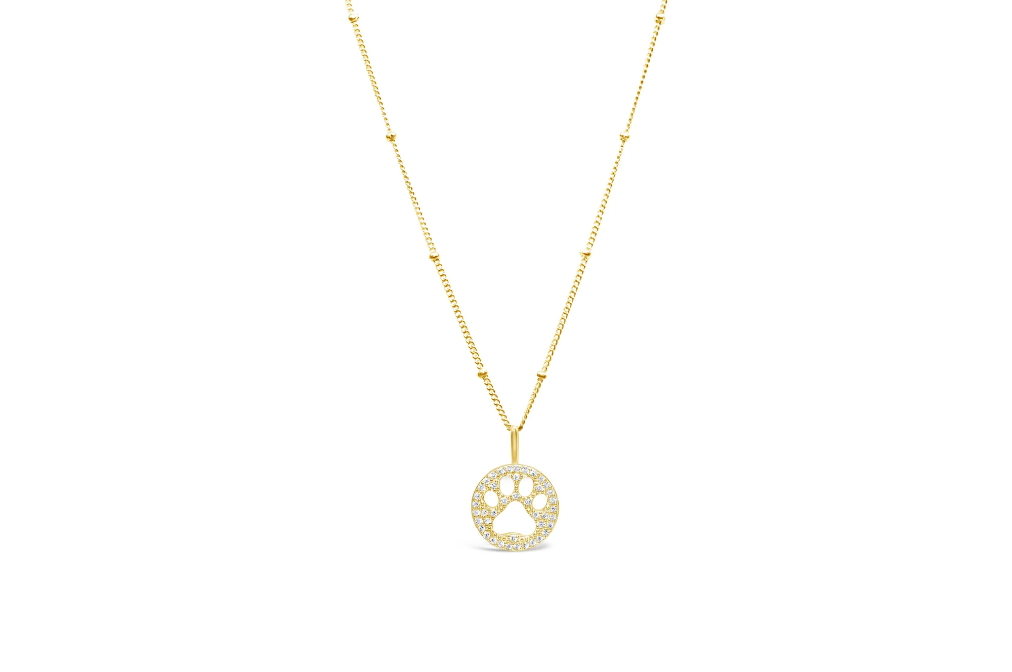 Charm & Chain- Pave Paw