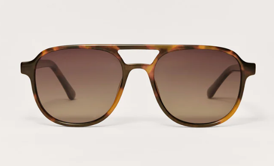 Tourist - Brown Tortoise