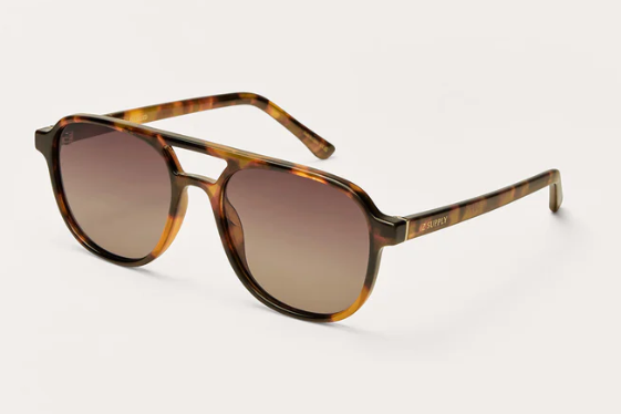 Tourist - Brown Tortoise
