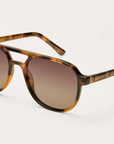 Tourist - Brown Tortoise