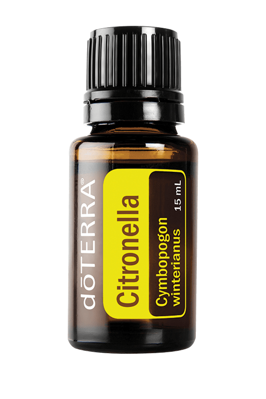 Citronella