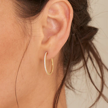 Load image into Gallery viewer, Gold Glam Hoop Earrings