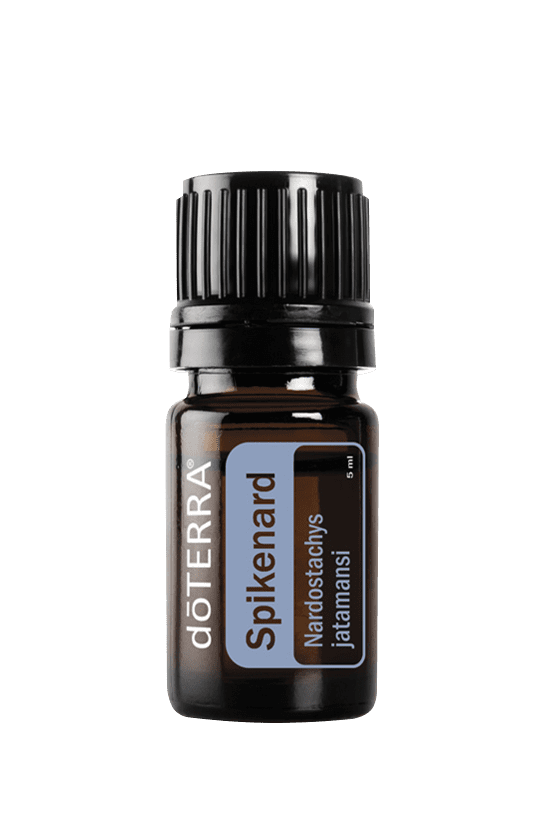 Spikenard