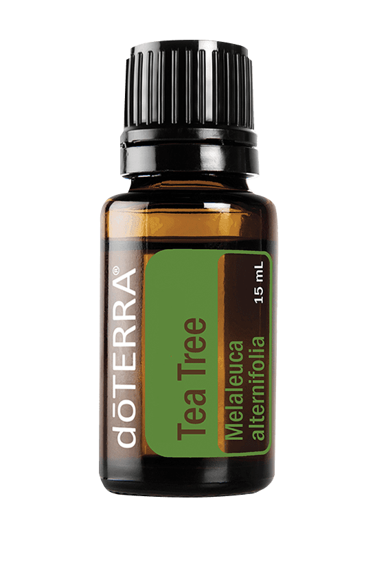 Tea Tree